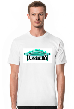 koszulka destiny esport