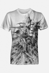 Koszulka męska THC