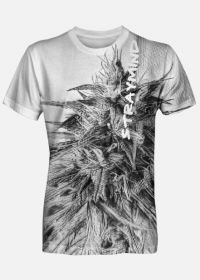 Koszulka męska THC
