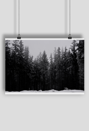 Plakat - górskie pejzaże