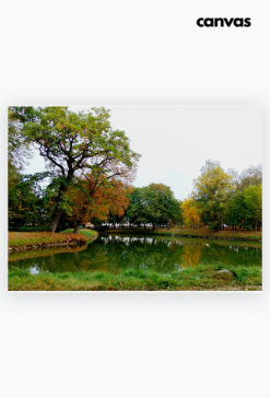Obraz na płótnie staw
