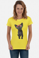TSHIRT KITTY
