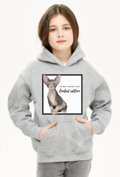 BLUZA Z KAPTUREM LIMITED EDITION