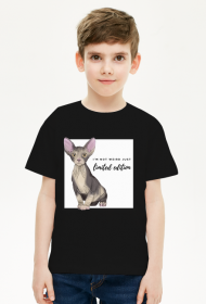 TSHIRT LIMITED EDITION