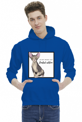 BLUZA Z KAPTUREM LIMITED EDITION