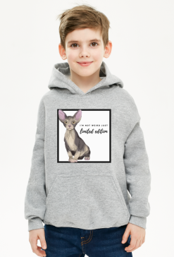 BLUZA Z KAPTUREM LIMITED EDITION