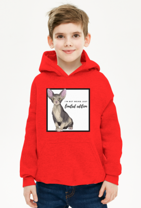 BLUZA Z KAPTUREM LIMITED EDITION
