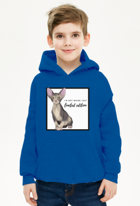 BLUZA Z KAPTUREM LIMITED EDITION