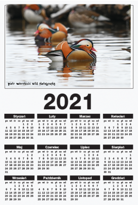 Kalendarz 2021