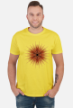 Sol Invictus