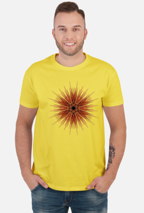 Sol Invictus