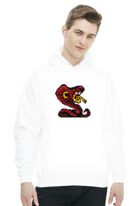 Bluza NeverFadeAway - PIXELS 1