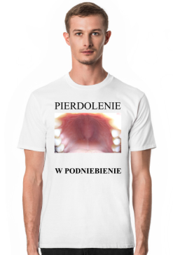 PIERDOLENIE W PODNIEBIENIE