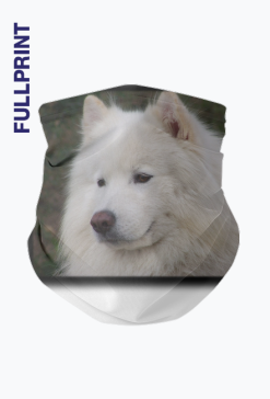 Komin *Samoyed Love