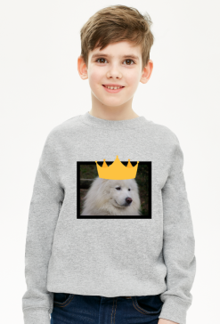 Bluza dziecięca Unisex *Samoyed Love