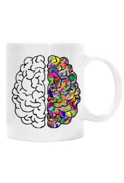 Kubek *The beautiful brain