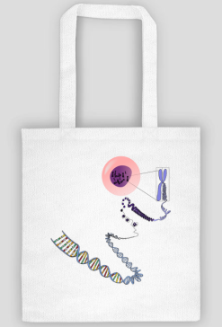 Eko Torba na Ramie *The chromosome-DNA love story
