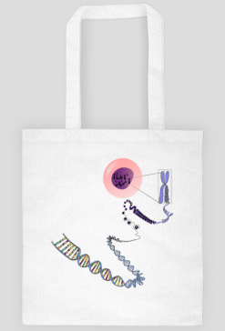 Eko Torba na Ramie *The chromosome-DNA love story
