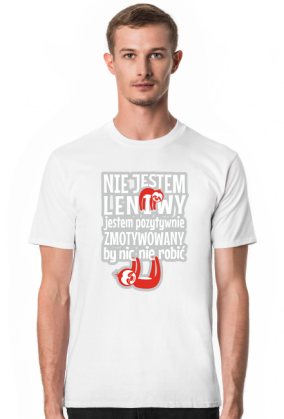 Nie jestem leniwy