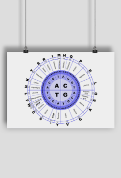 Plakat A2 Poziomy *The secret of genetic code