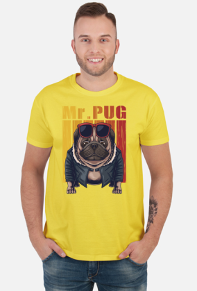 Mr. Pug