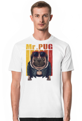 Mr. Pug