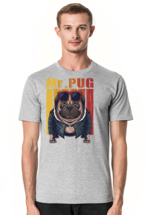 Mr. Pug