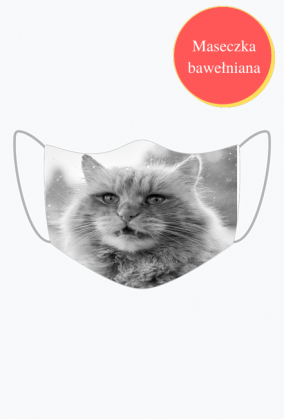 Power cat