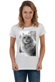 Power cat