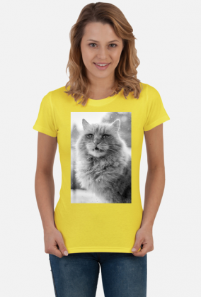 Power cat