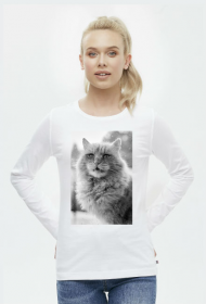 Power cat