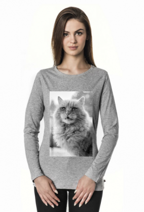 Power cat