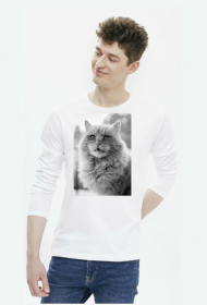Power cat