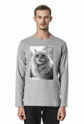 Power cat