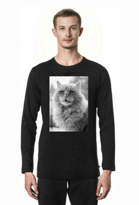 Power cat