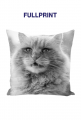 Power cat
