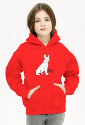 Boston terrier