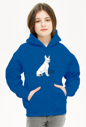 Boston terrier