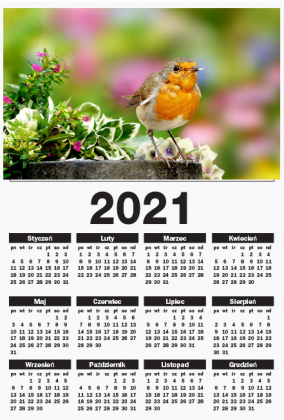 Kalendarz scienny A1 pionowy 2021 Ptaszek