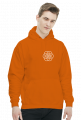 Flaga Ziemi