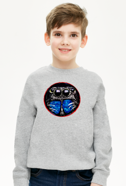 Bluza dla chłopca ze skakunem