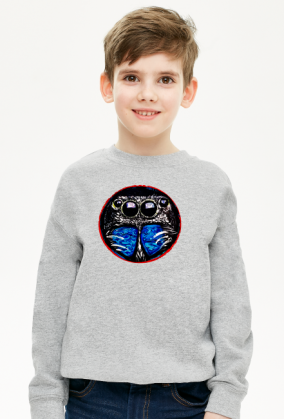 Bluza dla chłopca ze skakunem