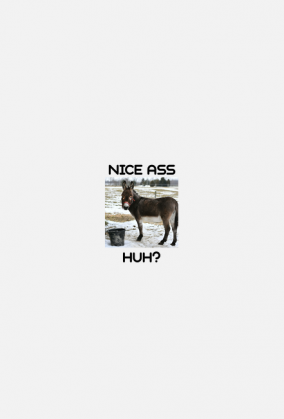 Koszulka: NICE ASS.