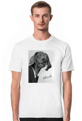 Weimali - Wyżeł Weimarski - koszulka męska z psem