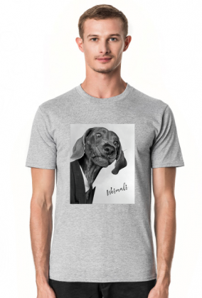 Weimali - Wyżeł Weimarski - koszulka męska z psem