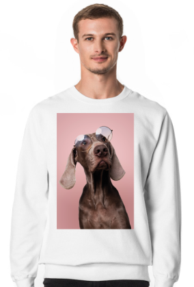 PINK - Wyżeł Weimarski - bluza męska z psem