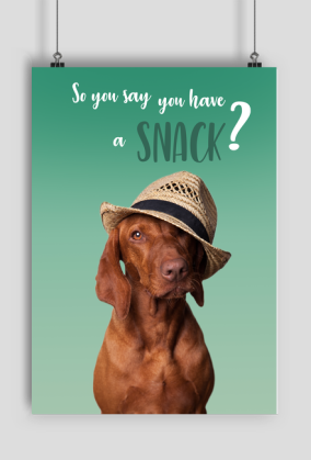 SNACK - Wyżeł Węgierski - plakat