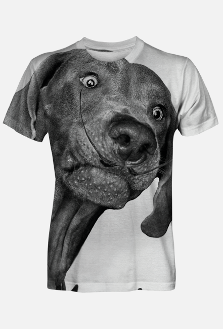 Weimali - Wyżeł Weimarski - koszulka męska z psem