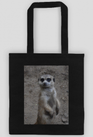 Eko Torba Zwierzak