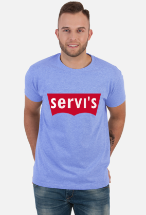 Servis GW 1